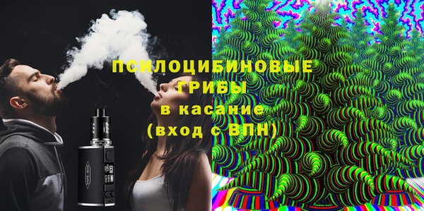 дживик Каменногорск
