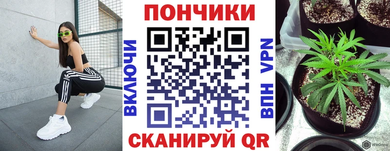 mega как войти  Скопин  Бошки марихуана AK-47 